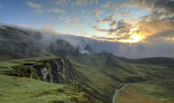 Misty hills grove