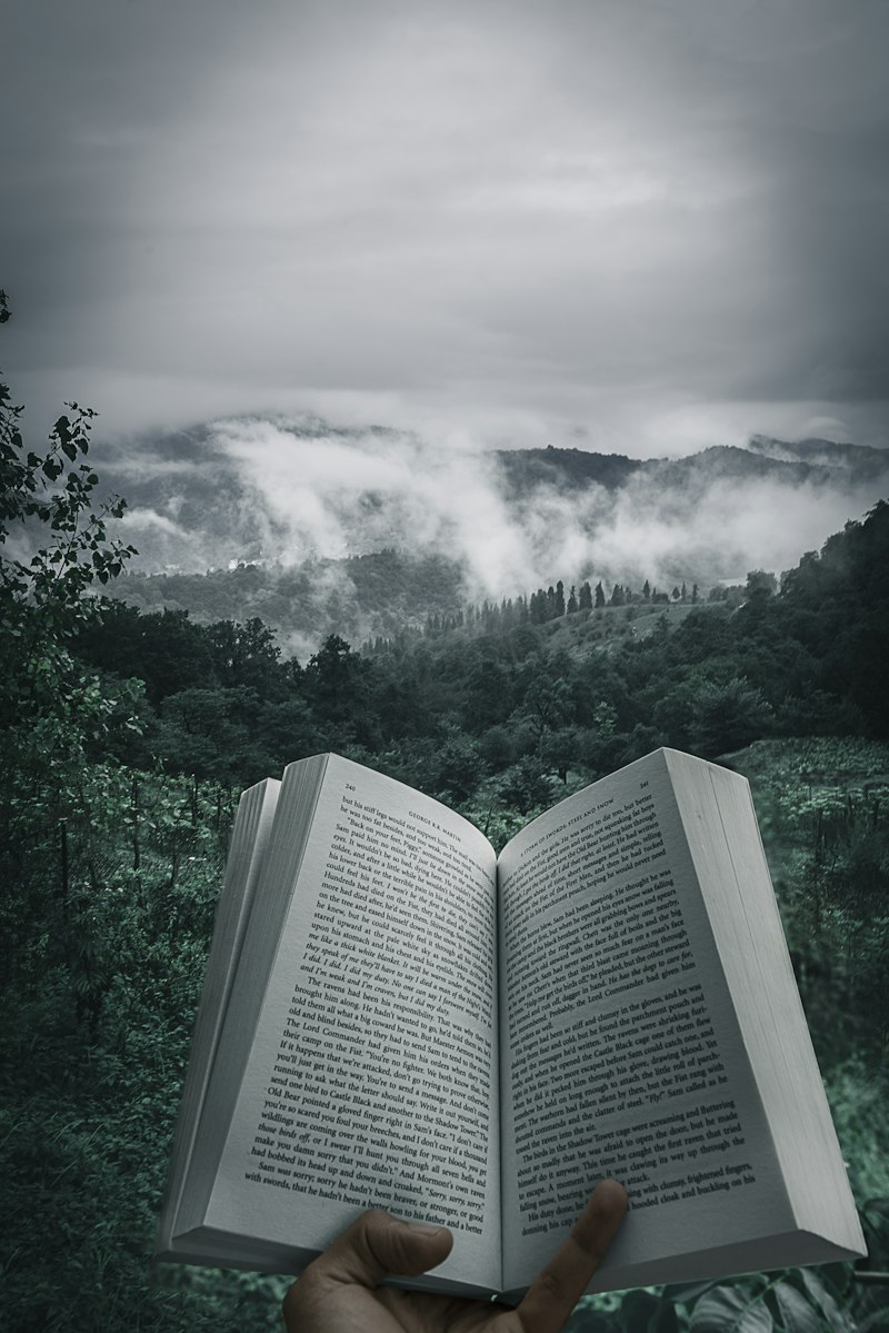 Book cover concept